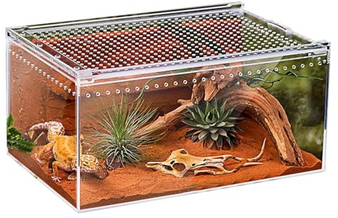 Terrario para Arañas Saltarinas - Terrario De Acrílico para Reptiles | para Lagartos,para Arañas, Serpientes, Ranas, Camaleones, Dragones Barbudos, Tortugas