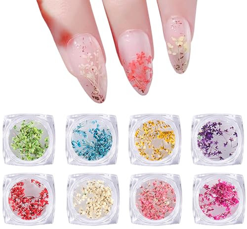 Trockenblumen Nail Art,8 Gläser 3D Getrocknete Blumen für Nägel, Bunt Natürliche Echte Nail Art Aufkleber Trockene Blumen Nagel Zubehör für Nagelkunst Dekoration DIY Basteln