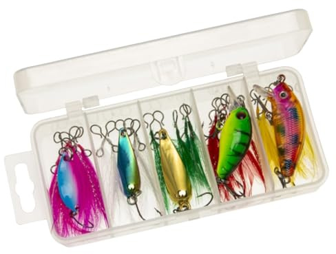 Kit de leurres de pêche – Kit de matériel de pêche | Leurres cuillère avec plume amovible | Ensemble de leurres | 20 accessoires pour eau douce et salée | pour perche, truite, carpe