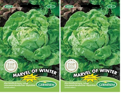 Germisem Marvel of Winter Semi di Lattuga 4 g (Confezione da 2)