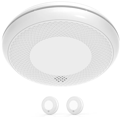 RUNIDUR Rauch und CO Melder, Kombination Rauchmelder und Kohlenmonoxid Melder Standalone, Akkurater Sensor mit 10 Jahre Batterie, Testknopf und Lauter 85 dB Alarm, Einfache Installation, 2 Stück