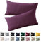 Soifox Kissenbezug 30x50 2er Set - Lila kopfkissenbezug Für Kissen 30 x 50 cm 100% Mikrofaser Resistent und Hypoallergen Kissenbezüge mit Reißverschluss