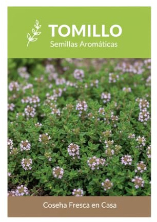 Cultiva Tomillo Aromático en Casa | Semillas de Tomillo para Cocina y Jardín por DECOALIVE