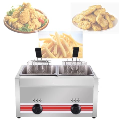 GZGHRZQS Gasfritös kommersiell, fritös med fritös justerbar eldkraft, rostfritt stål fritös för hem, bänkskiva i rostfritt stål djup stekning för pommes frites restaurang hem kök, 10 l/20 l/30 L