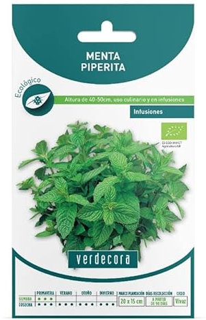 SEMILLAS ECOLOGICAS MENTA VERDECORA