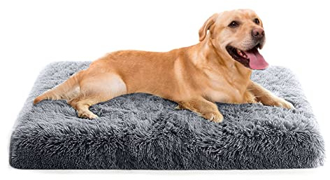 PETCUTE Hundsäng, avtagbar hundkudde, tvättbar hundkorg med halkfri botten, bekväm hundmadrass lämplig för katter, hundar, husdjurssäng