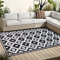 OMERAI Teppich Wohnzimmer Waschbarer In-& Outdoor Teppich Wetterfest 150X240CM Schwarz-Weiß Modern Balkon Teppich Schlafzimmer Teppich Weich Teppich rutschfest Camping Matte