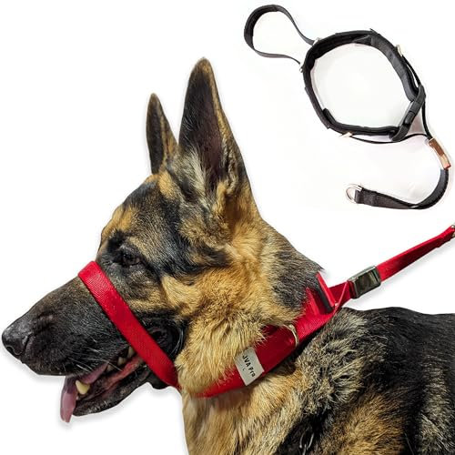 PetsProMax Hundehalfter zum Ziehen & Reaktive Hunde - No-Pull-Trainingshalsband mit Hinterkopf-Leinenhaken für friedliche Spaziergänge, stoppt sofort das Ziehen ohne Würgen oder Kneifen (Rot, L)