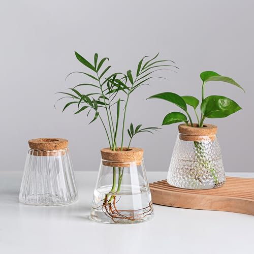 Petit Vase Fleur Vase Transparent: Hewory Terrarium Plante Hydroponie Vase en Verre avec Couvercle de Bois - Soliflore en Verre Terrarium Vegetal Vase Verre pour Centre de Table Decoration Interieur