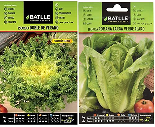 Escarola Doble Verano S. ESTIVAL & Lechuga Romana LARGA VERDE