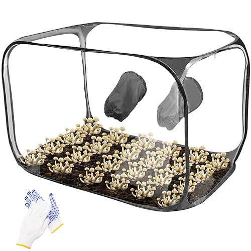 Svampodlingsset vikbart, Still Air Box | 85 x 52 x 52 cm transparent svampodlingstält | Bärbart popup-mykologiset för friskluftsbyte | Hem-svampodling för sporer och vetenskap