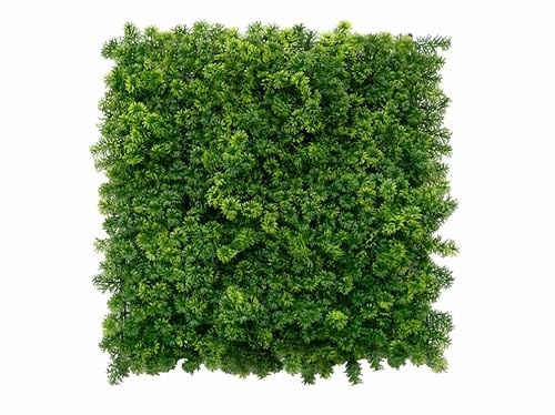 Easydeko Konstmossa – 50 x 50 cm – 4 stycken – mossvägg med ogenomskinlig baksida, mycket tät för väggar, lättskött, för vägg