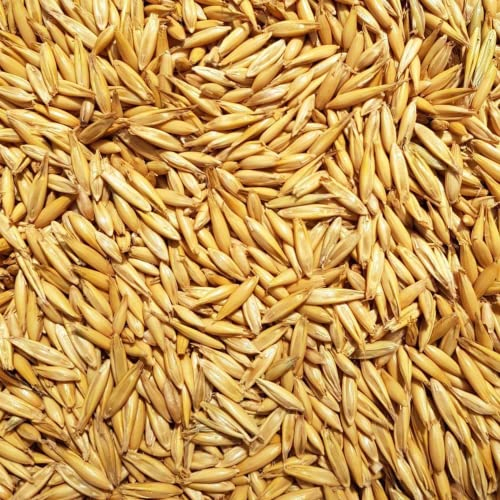 Supravit Hafer ganz 5kg | Frischer gelber Futterhafer natürlich & ungeschält für Pferd und Pony | staubfrei & riecht gut I Hafer Energie & Kraftfutter Pferd