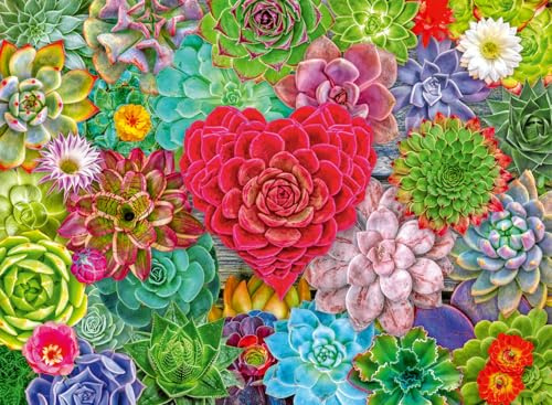 Ravensburger Succulent Love 500 Piece Jigsaw Puzzle for Adults and Kids Age 10 Years +