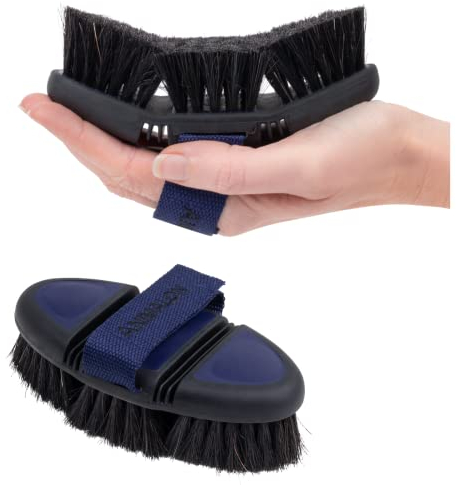 Animalon Kurzhaar-Bürste für Hunde| Fellwechsel-Helfer beim Hund | Hundebürste für Hunde mit Kurzhaar | innovative Hundebürste für schonende Fellpflege (Kardätsche, Blau) (Blau, Kardätsche klein)