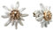 Alpenflüstern Trachten-Ohrstecker Strass-Edelweiß Greta mini - Damen-Trachtenschmuck, Trachten-Ohrringe mit Strass-Steinen (bicolor) DOR054