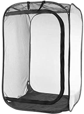 Odoukey Jaula para Insectos de 16x16x24 Pulgadas, casa de Mariposas Transparente Plegable con Cremallera y asa para criar Mariposas