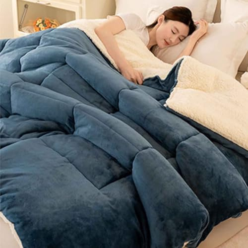 YWQJL Couette Hiver 220x240 TrèS Chaude Couette Polaire Biface Couette Epaisse Moelleuse éDredon Edredon Gonflant Couette Épaissie(*15,150 * 200cm/2.5kg)