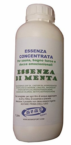 Esencia concentrada para sauna, baño turco y ducha emocional 1 litro/5 litros (menta, 1 litro).