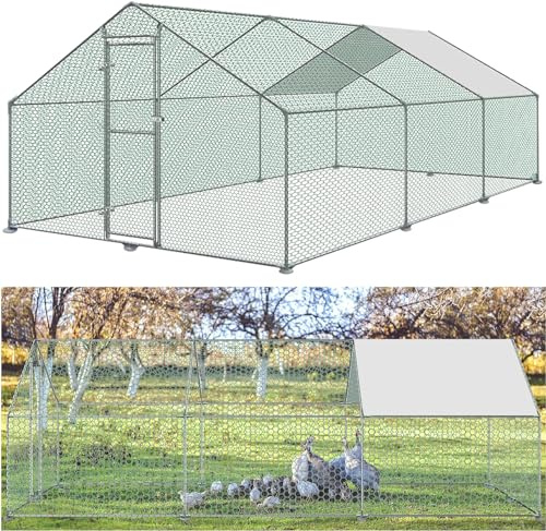 ACXIN Pollaio 3 x 6 x 2 m Recinzione libera pollaio porta con serratura pollaio, telaio in acciaio zincato rivestito in PE per galline, pollaio, gabbia per uccelli di piccoli animali