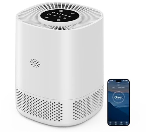 Luftreiniger mit H13 HEPA Filter, Filtert 99,97% des Staubs und Partikel bis zu Einer Größe von 0,3 Mikrometern, Schlafmodus (20 dB) und Automodus, Drei Geschwindigkeiten für den Heimgebrauch