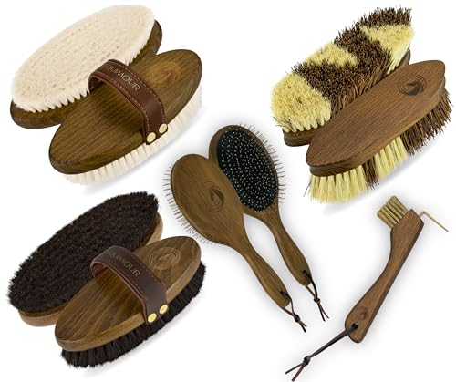 Equimour Starter-SET – 5-teiliges Pferdepflege-Set mit Rosshaar-Kardätsche, Ziegenhaar-Glanzbürste, Wurzelbürste, Mähnenbürste und Hufkratzer | Hochwertiges Putzzeug für gepflegtes Fell und Hufe