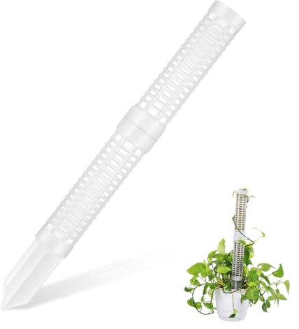 Toddmomy 2 Pezzi Piante Rampicanti da Pz per Monstera Pothos e Piante da Appartamento per Sana e Ottimale