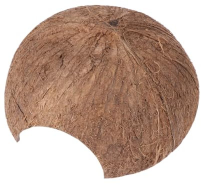 COLLBATH Kokosnussschalen Unterschlupf Tier Reptilienversteck Reptilienhöhle Reptilienbett Reptilienbedarf Holz