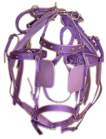 SHOWMEN CRAFT Harnais de conduite en nylon synthétique violet pour chariot simple (COB)