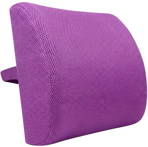 HomDSim Memory Foam Lumbar Cushion Lower Back Support Pillow Posture Correcting Car Seat Home Office Chair (Purple)