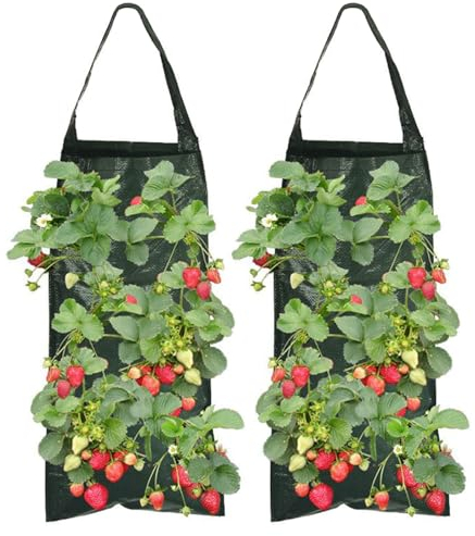 Feliciay Lot de 2 sacs de plantation pour fraises avec 8 trous, durables, respirants, sacs de plantation avec poignées pour plantes/herbes/fleurs