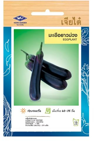 Graines d’aubergine asiatique longue violette – Eggplant Chia Tai Home Garden – Aubergine thaïlandaise pour potager, serre ou balcon – Sachet de 270 graines