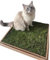 Real Grass Patch for Indoor Cats - Satisfies Natural Instincts - Farm Fresh Grass Pad - Live, Eco-Friendly & Stimulating - Perfect for Elderly Cats