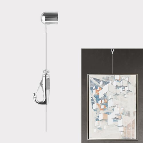 GZKDKZB Cuerda Transparente de 50 cm, 100 cm, 150 cm, 190 cm, 200 cm, 250 cm y 300 cm para exhibiciones de Fotos, Kit para Colgar Marcos de Fotos, herrajes para Colgar Espejos (Cable de 3