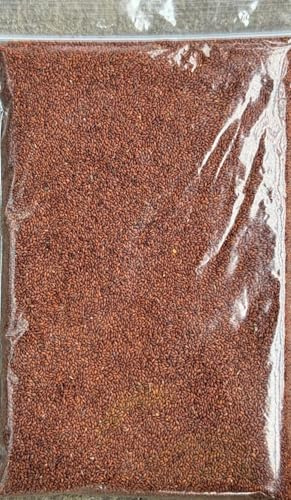 Cress Seeds | Halim Seeds Sprouting Premium Quality by Spice R Us (1000g)