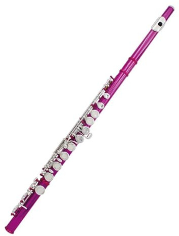 tvärflöjt instrument Flöjt 16-håls C-tangent flöjtinstrument