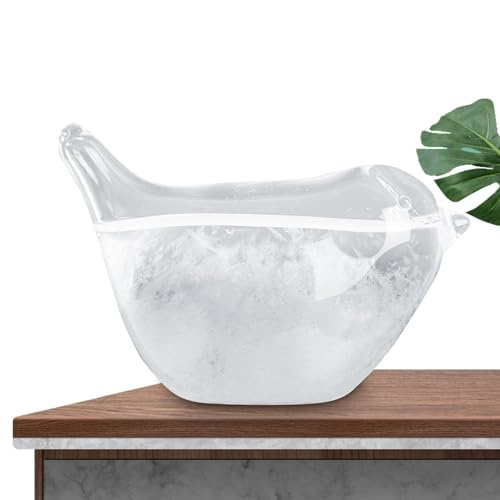 Tempestglas Previsioni Meteo, Stazione meteo da tavolo per la casa e la decorazione della tavola Recensioni di tempesta, previsioni meteo tempesta, barometro