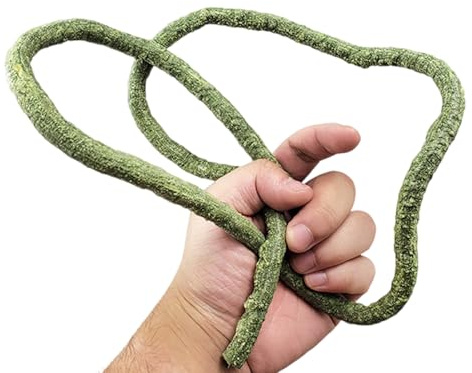 Qsvbeeqj Acuarios, reptiles, enredaderas, plantas, peceras, decoración para anfibios, lagartos, serpientes, escalada, suministros para mascotas