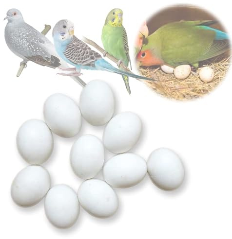 MESINURS Parrot Plastic Dummy Eggs - Solid Bird Hatching Plastic Eggs for Guiding Parakeet Am. Budgie, Diamond Dove to Stop Laying, 10 PCS(M)