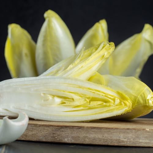 Semi di cicoria biologici, semi di radicchio Cichorium intybus, Le perenni sono resistenti 50pcs
