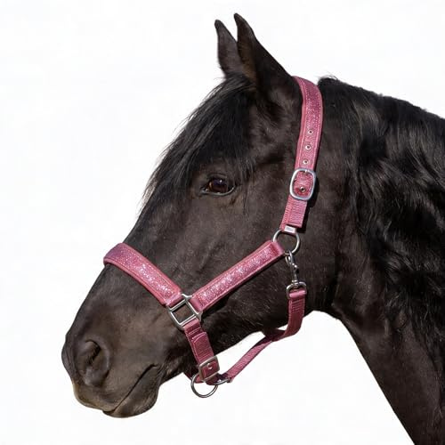 Pferdelinis Cabestro para caballos con purpurina, cabestro acolchado, hebillas ajustables, pony, mazorca, sangre caliente, shetty (rosa, sangre caliente)