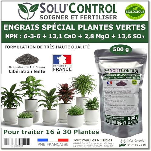 500 g Engrais Spécial Plantes Vertes 6-3-6 - Croissance, Feuillage Dense & Vitalité - Formulation Organo-Minerale - Libération Lente - Convient Plantes Intérieur & Extérieur - Fabriqué en France