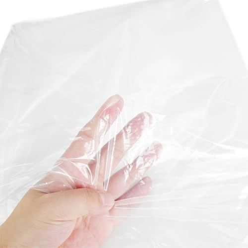 Film de serre en plastique transparent pour jardin, serre tunnel pour légumes et fleurs, matériau PE 0 04 mm, résistant aux intempéries (4 m x 10 m)