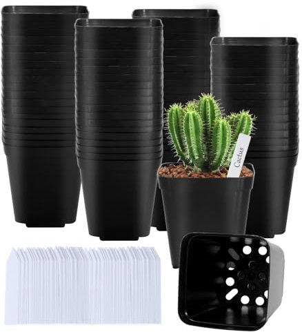 JEDWKFA 100 Stück anzuchttöpfe, blumentöpfe, anzuchttöpfe Kunststoff, Plant Pot, Grow töpfe, mit 100 Pflanzenetiketten, Pflanztöpfe, für Sukkulenten, Samen, Setzlinge, Schwarz