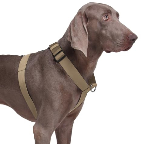 FEimaX Pettorina Cane Taglia Grande per Animali Domestici, No Pull Gilet Cani Regolabile Traspirante Imbracatura Tattica Resistente per Media Cani per l'Addestramento All'aperto