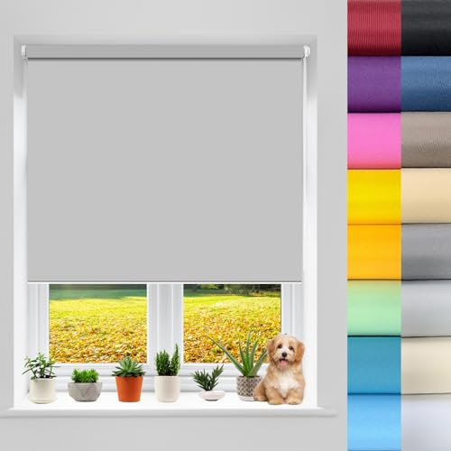 Tenda Doppia a Rullo 90 x 110 cm Tenda a Rullo Tenda Oscurante, Tenda a Rullo Verticale A Rullo Montaggio senza Forare per Finestra o Porta, Interni, Grigio