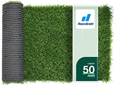 Floordirekt Premium Kunstrasen Lemon - Höhe: 50 mm Hochflor Rasenteppich - Rollrasen - Kunststoffrasen - Garten-Rasen - Rasen für Balkon, Terrasse & Garten (100 x 200 cm)