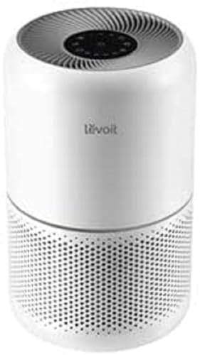 levoit True HEPA Air Purifier 300RAC