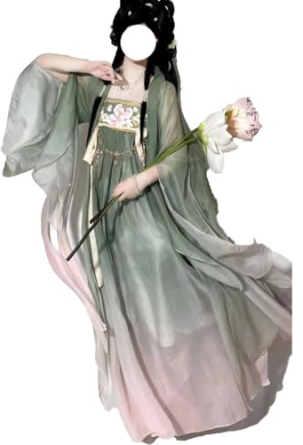 Robe Hanfu chinoise for femme, tenue de la dynastie Tang Qixiong Ruqun, haut transparent, costume d'Halloween Cosplay