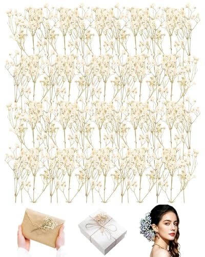 ZAMXHUG 50pcs Gypsophila Essiccata Fiori Secchi Decorativi Piccoli Fiori Pressati Bianca Naturali Adatto per Artigianato Fai-da-te, Candele, Manicure, Custodie per Cellulari
